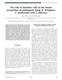 The Role of Dendritic Cells in the Innate Recognition of Pathogenic Fungi (A. Fumigatus, C. Neoformans and C. Albicans)