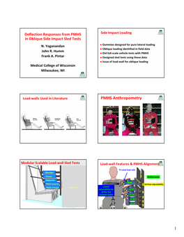 PMHS Anthropometry