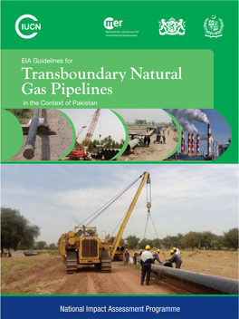 EIA Guidelines for Transboundary Natural Gas Pipelines