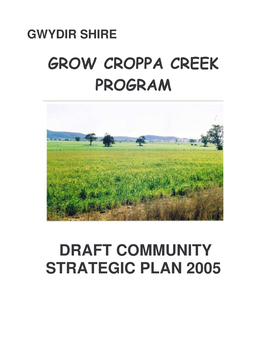 CROPPA CREEK Strategic Plan Draft 2005