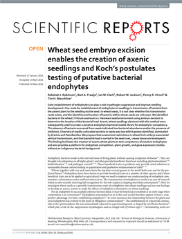 Wheat Seed Embryo Excision Enables the Creation Of