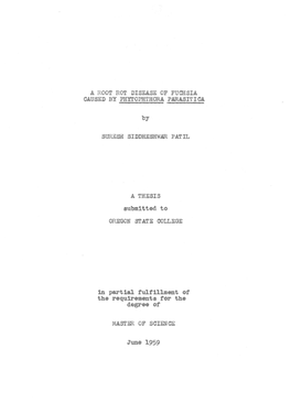 A Root Rot Disease of Fuchsia Caused by Phytophthora Parasitica