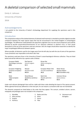 A Skeletal Comparison of Selected Small Mammals