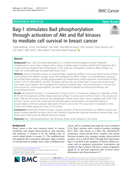 Bag-1 Stimulates Bad Phosphorylation Through Activation of Akt and Raf Kinases to Mediate Cell Survival in Breast Cancer