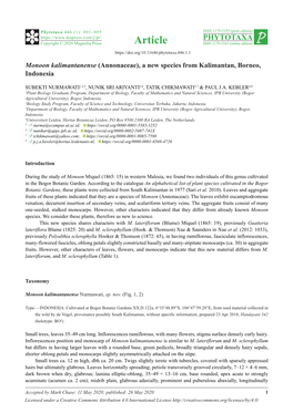 Monoon Kalimantanense (Annonaceae), a New Species from Kalimantan, Borneo, Indonesia