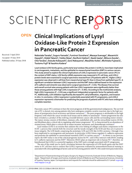 Clinical Implications of Lysyl Oxidase-Like Protein 2 Expression