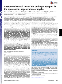 Unexpected Central Role of the Androgen Receptor in the Spontaneous Regeneration of Myelin