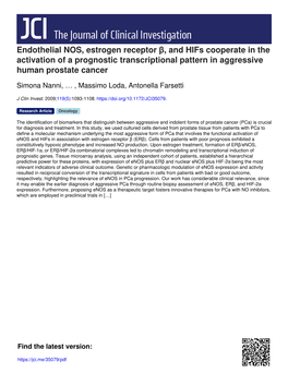 Endothelial NOS, Estrogen Receptor Β, and Hifs Cooperate in the Activation of a Prognostic Transcriptional Pattern in Aggressive Human Prostate Cancer