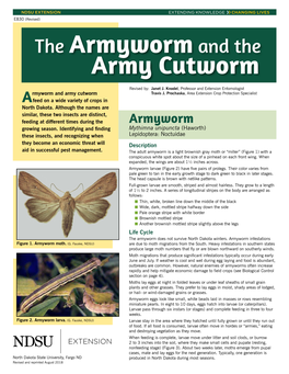 The Armyworm and the Army Cutworm