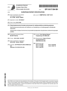 Poly(Vinylammonium Formate) and Process for Making Amidine