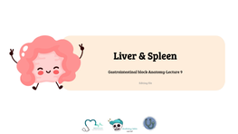 Liver & Spleen