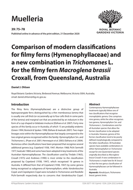 Hymenophyllaceae) and a New Combination in Trichomanes L