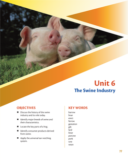 Unit 6 Te Swine Industry