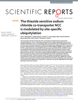 The Thiazide Sensitive Sodium Chloride Co-Transporter NCC Is Modulated