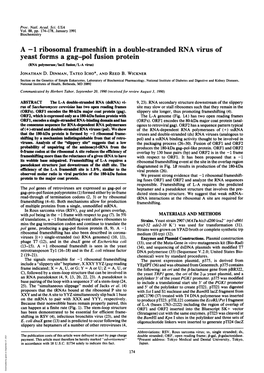 1 Ribosomal Frameshift in a Double-Stranded RNA Virus of Yeast Forms a Gag-Pol Fusion Protein (RNA Polymerase/Lacz Fusion/L-A Virus) JONATHAN D