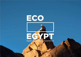 Wadi El Rayan Protectorate Features a Notable 12EL RAYAN UNESCO World Heritage Site