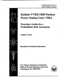 Kalinin VVER-1000 Nuclear Power Station Unit 1 PRA. Procedure Guides for a Probabilistic Risk Assess