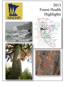 2013 Forest Health Highlights