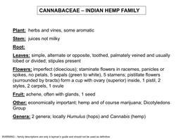 Cannabaceae – Indian Hemp Family