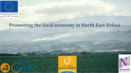 Promoting the Local Economy in North East Bekaa Our Partners