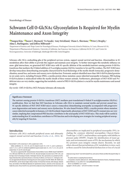 Schwann Cell O-Glcnac Glycosylation Is Required for Myelin Maintenance and Axon Integrity