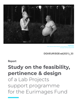 Study on the Feasibility, Pertinence & Design of a Lab Projects Support