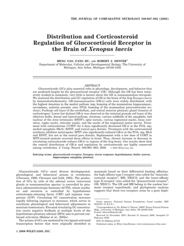 Distribution and Corticosteroid Regulation of Glucocorticoid Receptor in the Brain of Xenopus Laevis