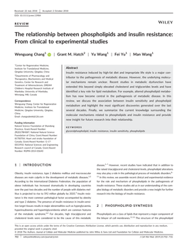 The Relationship Between Phospholipids and Insulin Resistance: from Clinical to Experimental Studies