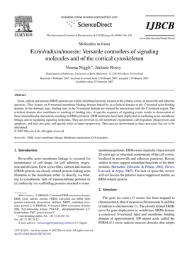 Ezrin/Radixin/Moesin: Versatile Controllers of Signaling Molecules