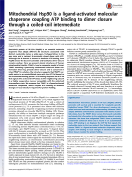 Mitochondrial Hsp90 Is a Ligand-Activated Molecular Chaperone Coupling ATP Binding to Dimer Closure Through a Coiled-Coil Intermediate