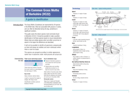 The Common Grass Moths of Berkshire (VC22)