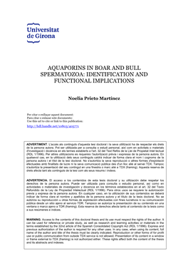 Aquaporins in Boar and Bull Spermatozoa: Identification and Functional Implications