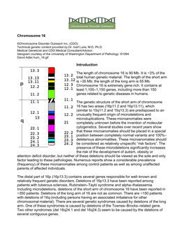 16 Chromosome Chapter