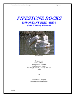 MB012 Pipestone Rocks (Lake Winnipeg)