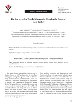 The First Record of Family Selenopidae (Arachnida: Araneae)