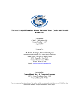 Effects of Pumped Flows Into Rincon Bayou on Water Quality and Benthic Macrofauna Coastal Bend Bays & Estuaries Program