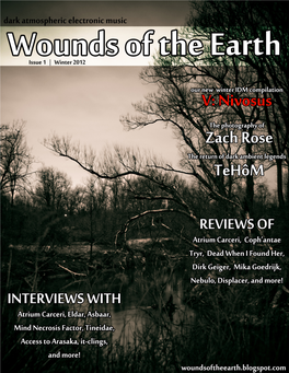 Woundsissue1.Pdf Download