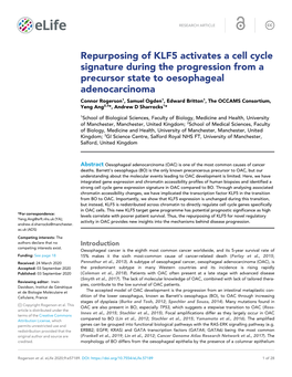 Repurposing of KLF5 Activates a Cell Cycle Signature During The