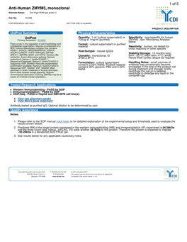 Anti-Human ZMYM3, Monoclonal Alternate Names: Zinc Finger MYM-Type Protein 3