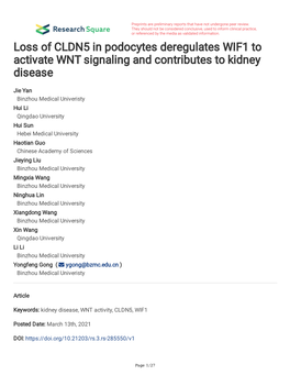 Loss of CLDN5 in Podocytes Deregulates WIF1 to Activate WNT Signaling and Contributes to Kidney Disease