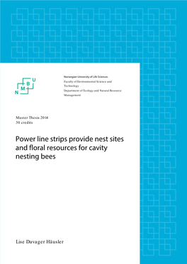 Power Line Strips Provide Nest Sites and Floral Resources for Cavity