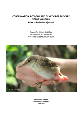 Cape Verde Warbler Research