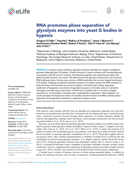 RNA Promotes Phase Separation of Glycolysis Enzymes Into