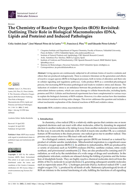 The Chemistry of Reactive Oxygen Species (ROS) Revisited: Outlining Their Role in Biological Macromolecules (DNA, Lipids and Proteins) and Induced Pathologies