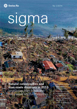 Natural Catastrophes and Man-Made Disasters in 2013