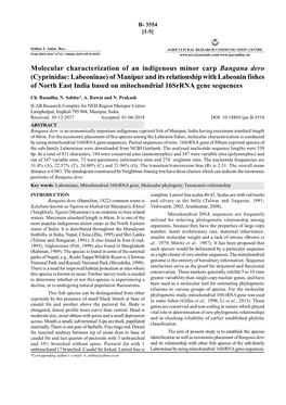 Molecular Characterization of an Indigenous Minor Carp Bangana