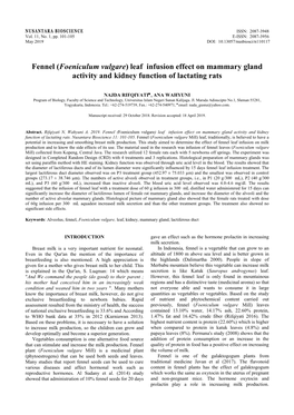 Fennel (Foeniculum Vulgare) Leaf Infusion Effect on Mammary Gland Activity and Kidney Function of Lactating Rats