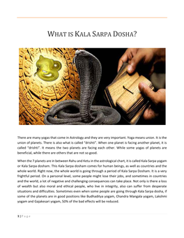 What Is Kala Sarpa Dosha?