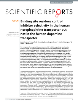 Binding Site Residues Control Inhibitor Selectivity in the Human