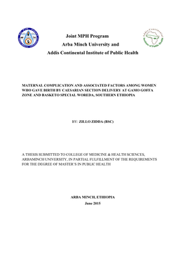 Final Thesis of ZILLO ZIDDA